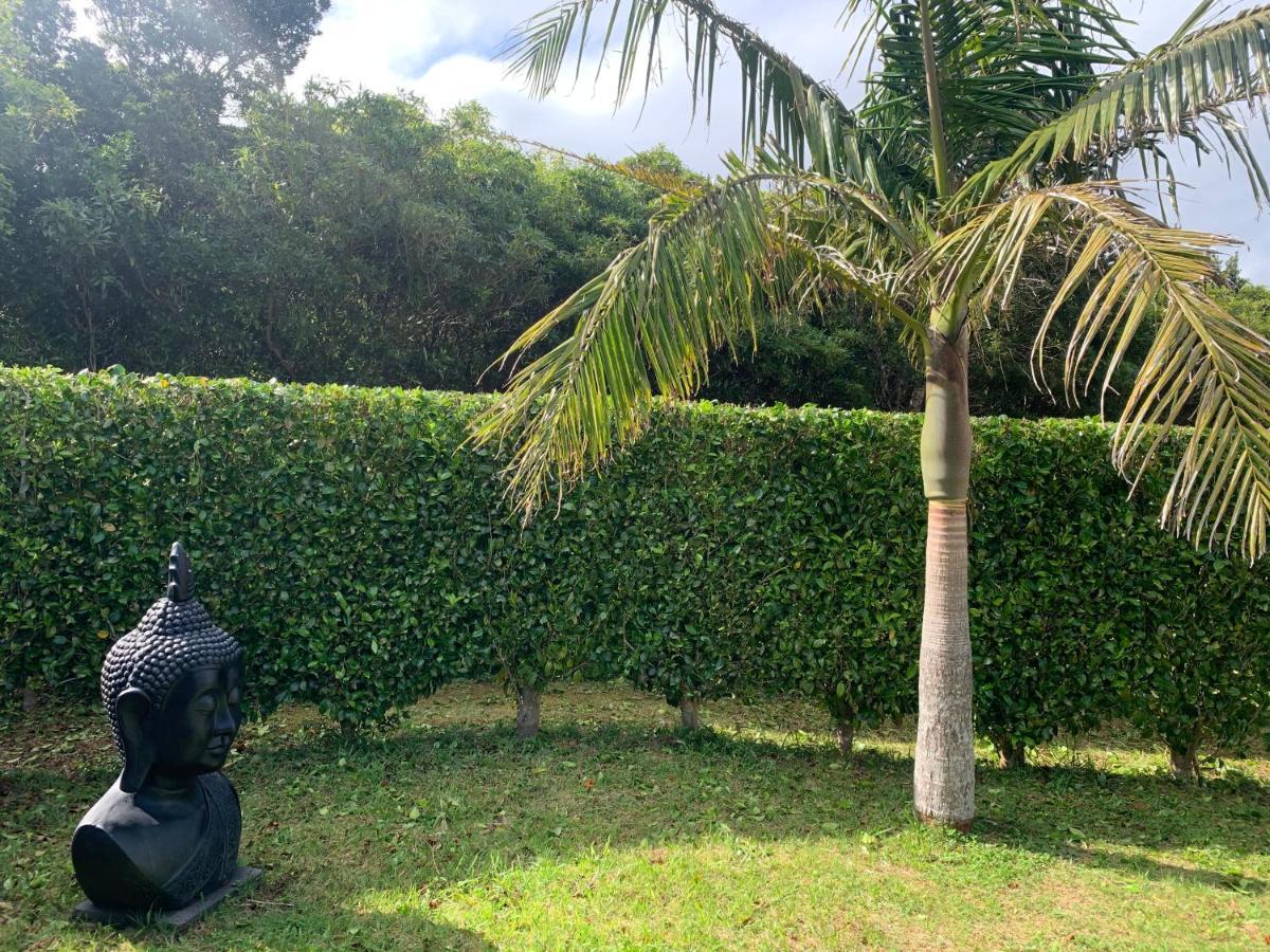 Ninho Das Cagarras Santo Amaro  Exterior foto